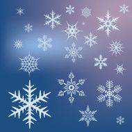 Snow stars