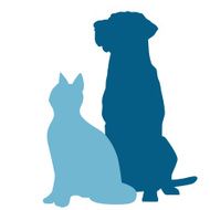 Dog Cat Sitting