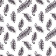 Seamless pattern with feathers N44