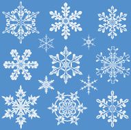 Snowflakes N51