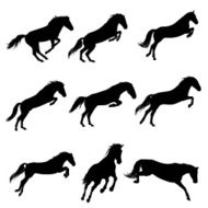 Jumping horses N2
