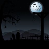 Halloween N343