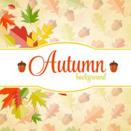 Shiny Autumn Natural Leaves Background Vector Illustration N38