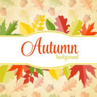 Shiny Autumn Natural Leaves Background Vector Illustration N42