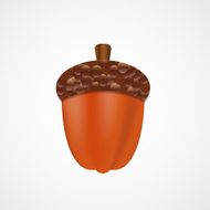 Acorn Vector Illustration