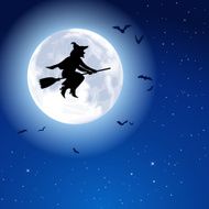 Witch Fly Moon