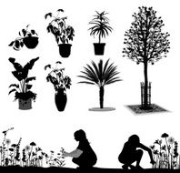 GardenPlants
