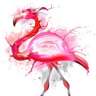 Pink Flamingos N2