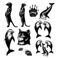 Collection of animals N7