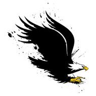 Eagle N14