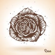 Hand drawn rose N5