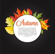 Shiny Autumn Natural Leaves Background Vector Illustration N44