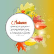 Shiny Autumn Natural Leaves Background Vector Illustration N47