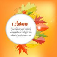 Shiny Autumn Natural Leaves Background Vector Illustration N49