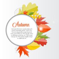 Shiny Autumn Natural Leaves Background Vector Illustration N50