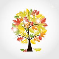 Shiny Autumn Natural Tree Background Vector Illustration N2