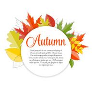 Shiny Autumn Natural Leaves Background Vector Illustration N52