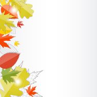 Shiny Autumn Natural Leaves Background Vector Illustration N53