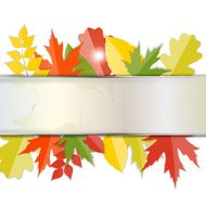 Shiny Autumn Natural Leaves Background Vector Illustration N58