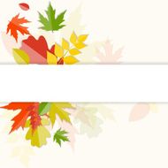 Shiny Autumn Natural Leaves Background Vector Illustration N59