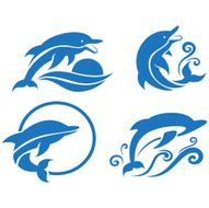 dolphins N8