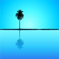 Palm Tree N40