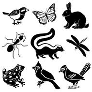 small woodland animals