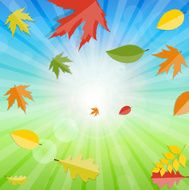 Shiny Autumn Natural Leaves Background Vector Illustration N63