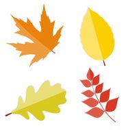 Shiny Autumn Natural Leaves Vector Illustration
