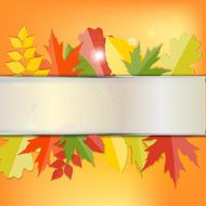 Shiny Autumn Natural Leaves Background Vector Illustration N68