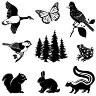 Woodland Animals N4
