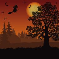 Halloween landscape with witch and trees
