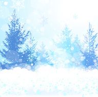 winter background N59