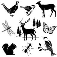 Woodland Animals N5