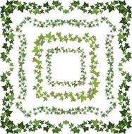 ivy frames