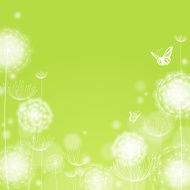 Spring Dandelions &amp; Butterflies