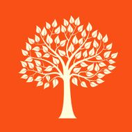Tree isolated on a red background