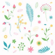 vector floral design elements N5