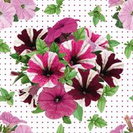 seamless pattern bouquet of petunias