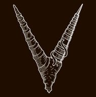 Steam-punk Horns N2