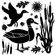 ducks and cattails