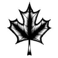 decorative silhouette maple leaf