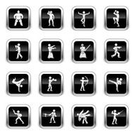 Supergloss Black Icons - Martial Arts
