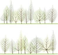 Leaves forest
