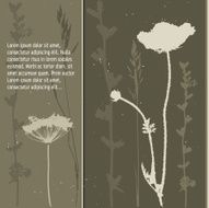 grey grass