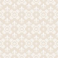Damask seamless pattern N253