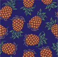 repetition of pineapple N9
