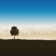 tree and forest