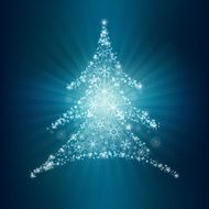 christmas tree N238