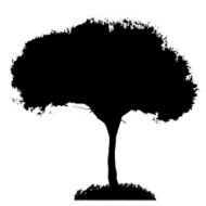 Tree Silhouette Isolated on White Backgorund Vecrtor Illustrati N13